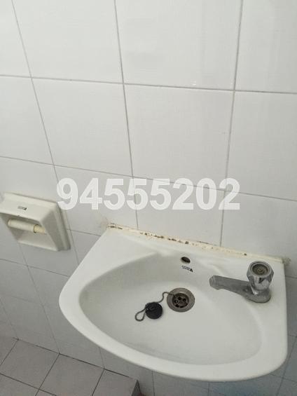 Blk 106 Hougang Avenue 1 (Hougang), HDB 3 Rooms #95577672